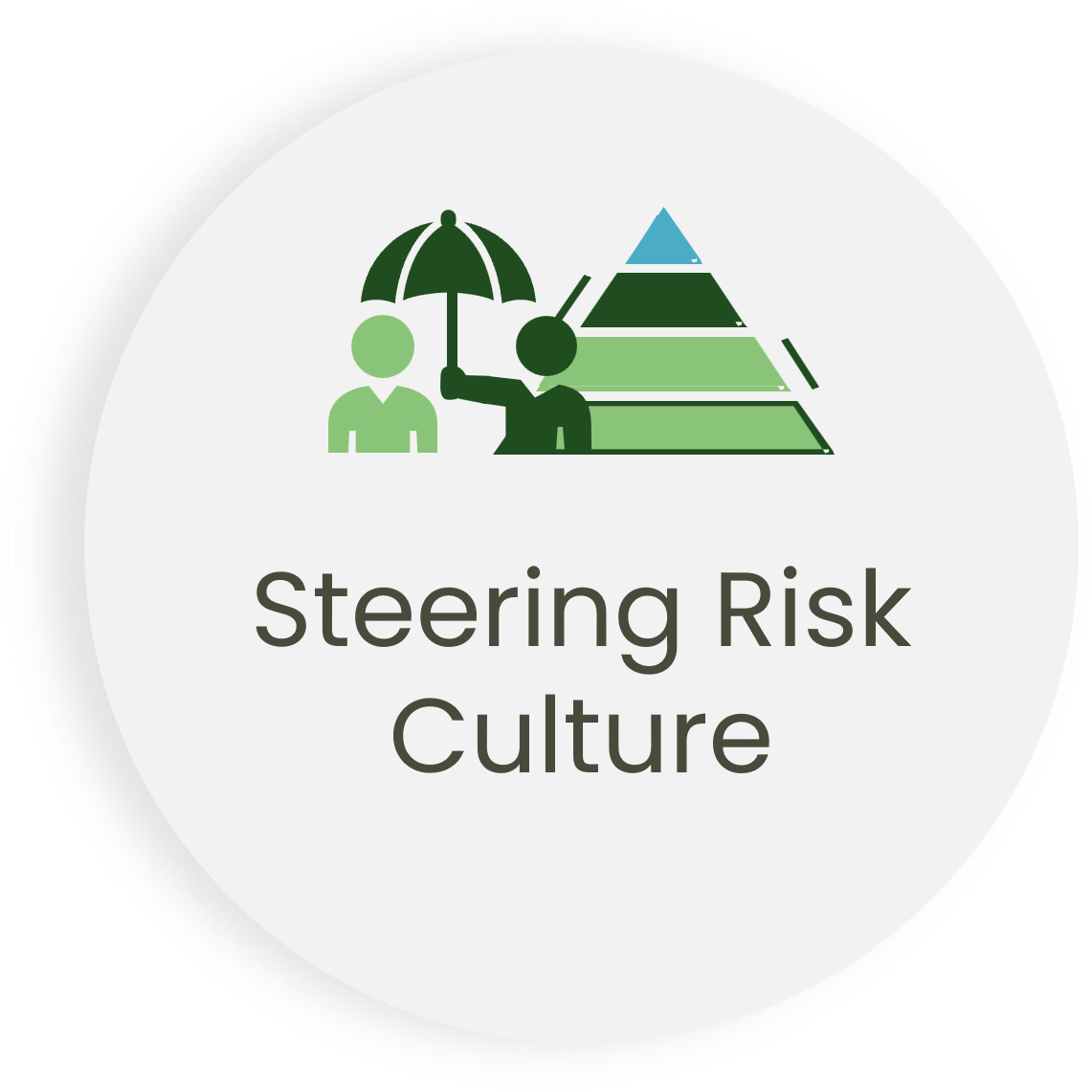 Steering Risk Culture